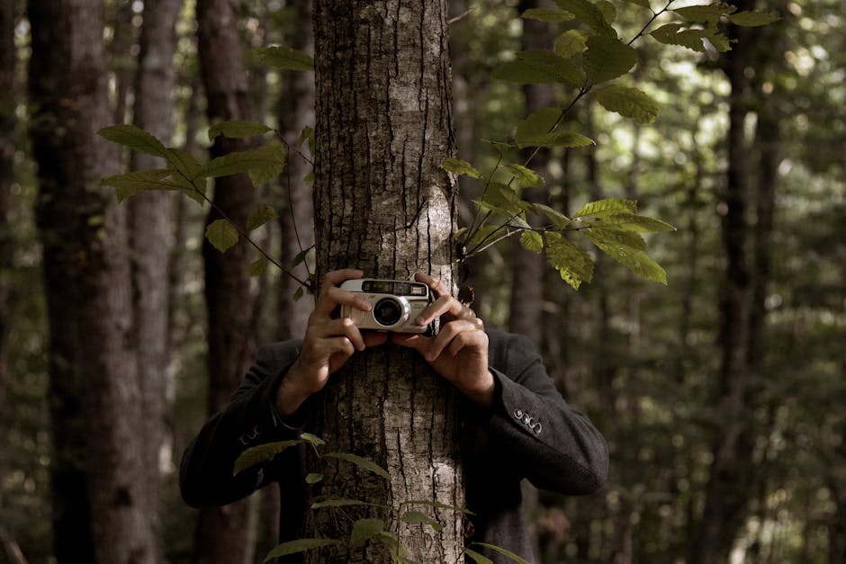 Beginner Photography Tips That Transform Your Smartphone and Camera Skills