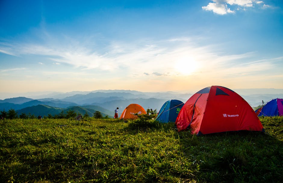 Wild Camping for Beginners: Your Essential UK Adventure Starter