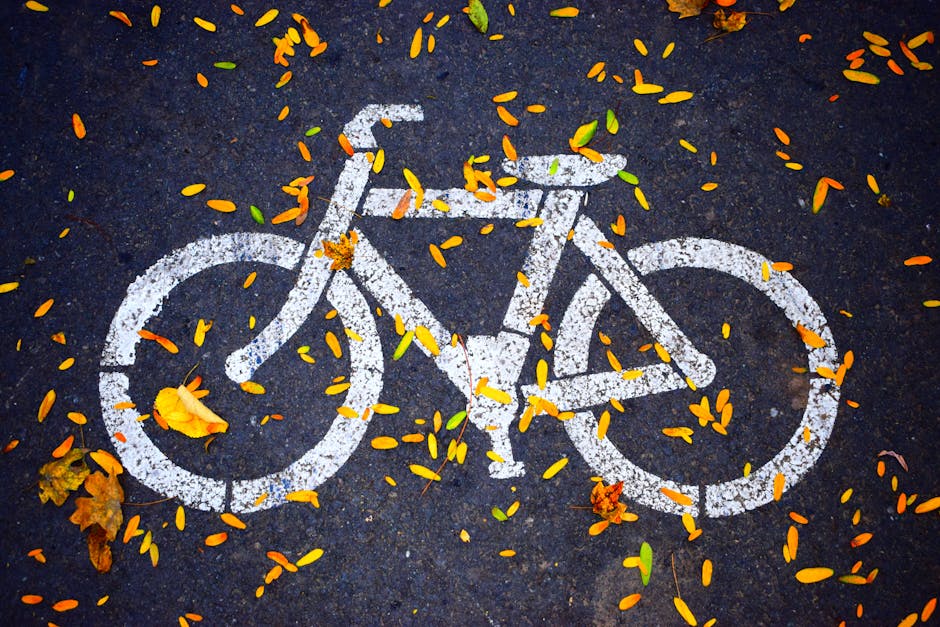 Beginner Cycling Training Plan: Build Real Endurance in 8 Weeks