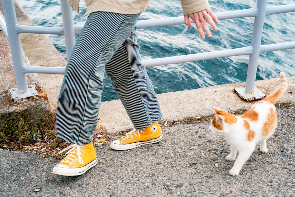 Can You Lose Belly Fat by Walking 30 Minutes Daily?