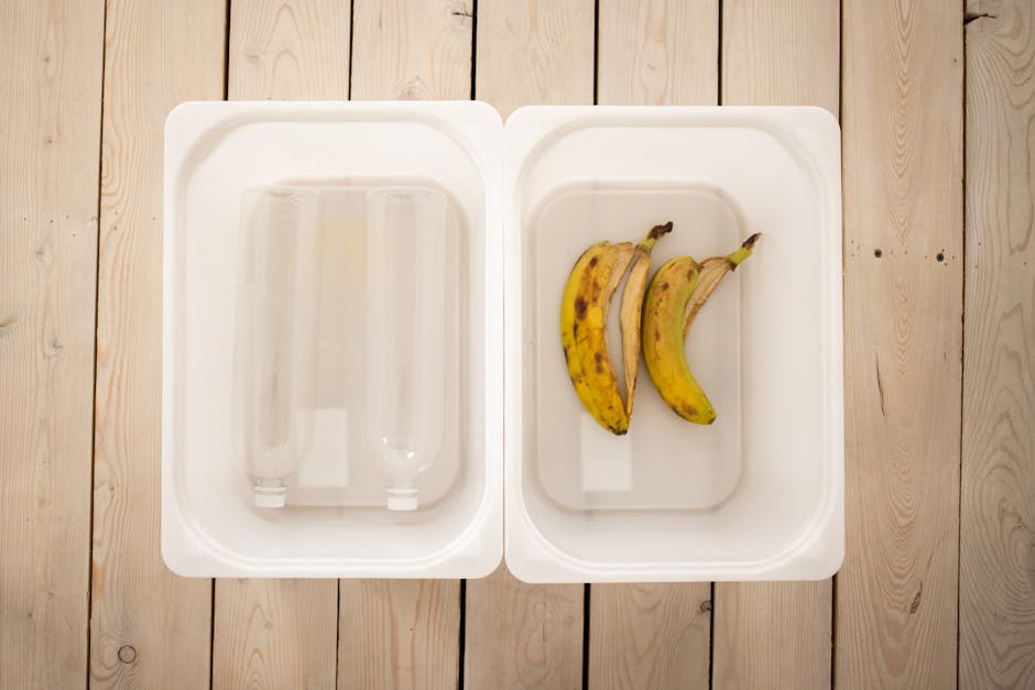 How to Start Composting at Home: A Complete Beginner’s Guide
