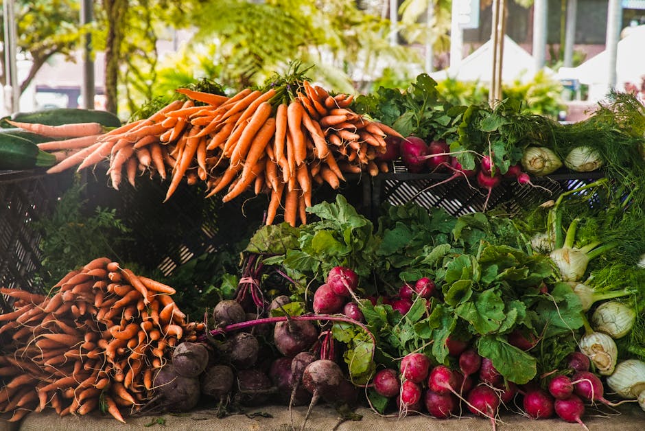 Your Simple 7-Day Anti-Inflammatory Meal Plan (Zero Cooking Skills Required)