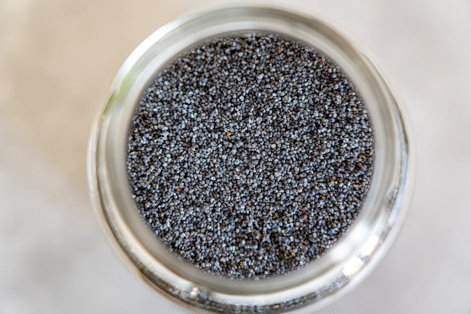 How Long Does It Take to Adapt to Chia Seeds? Your Body’s Timeline